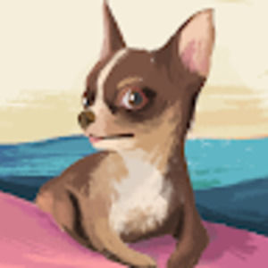 Meet your Posher, Alexis